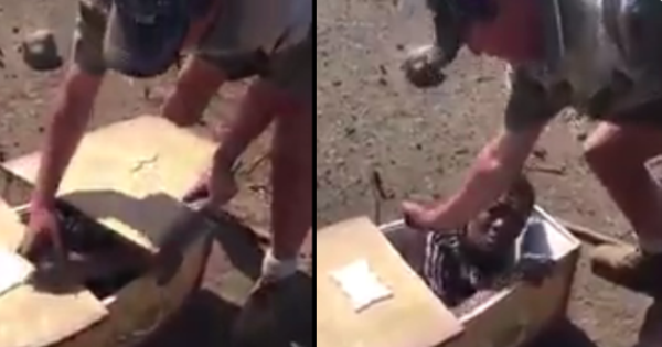 Two White Men Who Forced A Black Man Into A Coffin Appear In Court