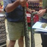 Pics! A 4metre Snake Found In Spar Supermarket Fridge